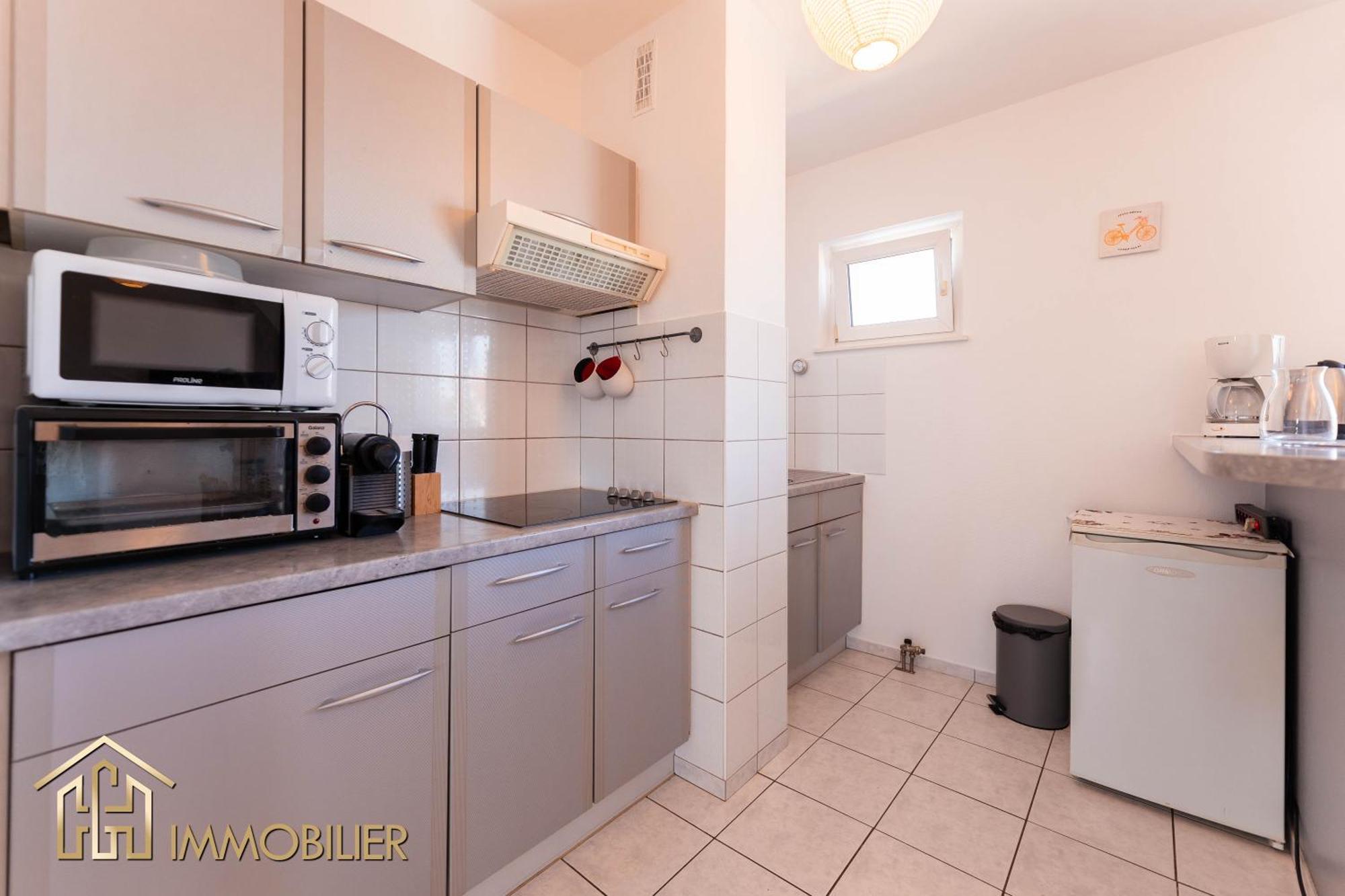 Appartement L'Orient - Parking Colmar Eksteriør bilde