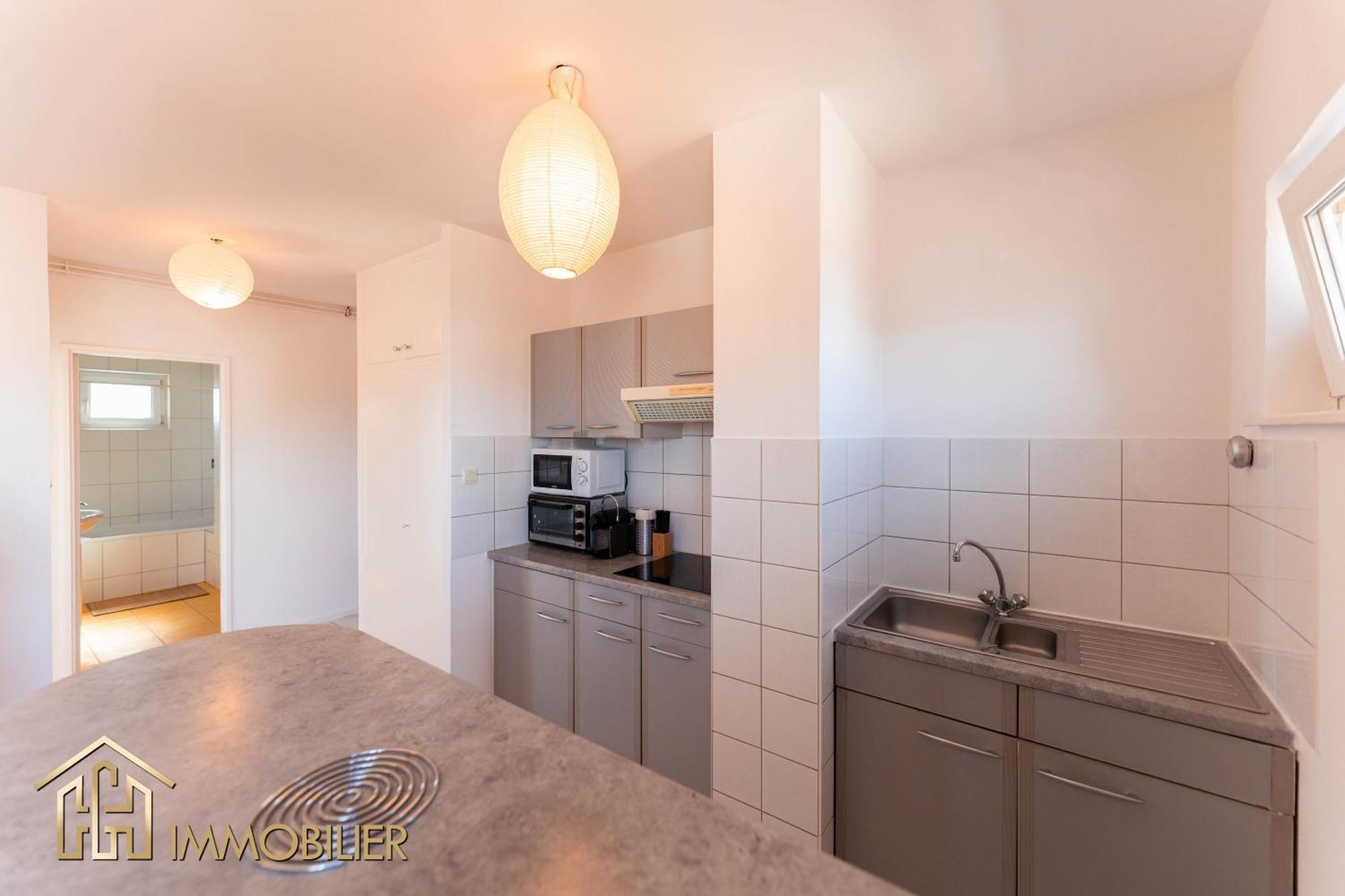 Appartement L'Orient - Parking Colmar Eksteriør bilde